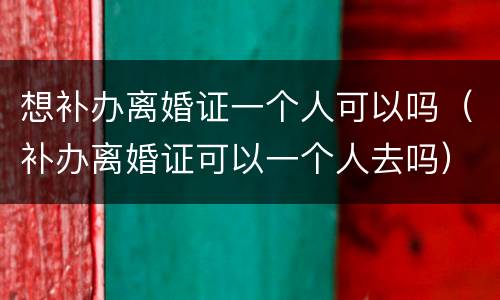 想补办离婚证一个人可以吗（补办离婚证可以一个人去吗）