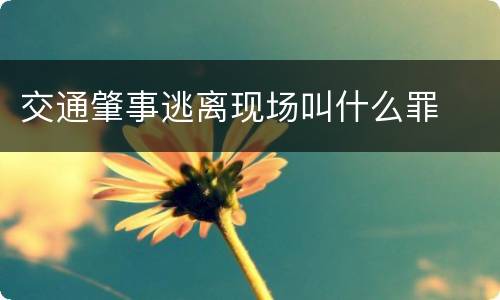 交通肇事逃离现场叫什么罪