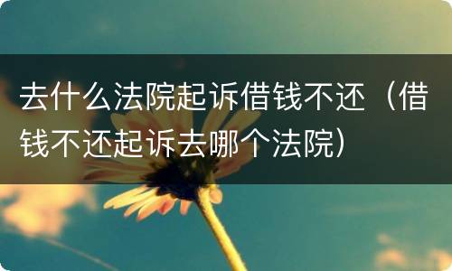 去什么法院起诉借钱不还（借钱不还起诉去哪个法院）