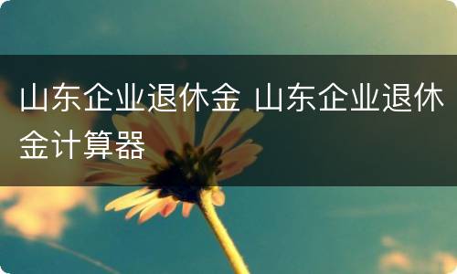 山东企业退休金 山东企业退休金计算器
