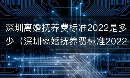 深圳离婚抚养费标准2022是多少（深圳离婚抚养费标准2022是多少呢）
