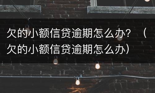 欠的小额信贷逾期怎么办？（欠的小额信贷逾期怎么办）