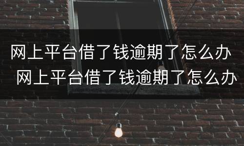 网上平台借了钱逾期了怎么办 网上平台借了钱逾期了怎么办呢