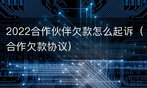 2022合作伙伴欠款怎么起诉（合作欠款协议）