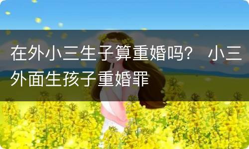 在外小三生子算重婚吗？ 小三外面生孩子重婚罪