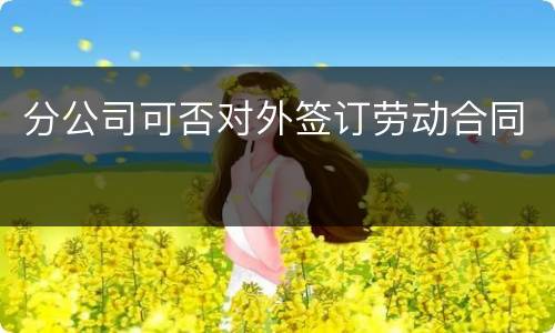 分公司可否对外签订劳动合同