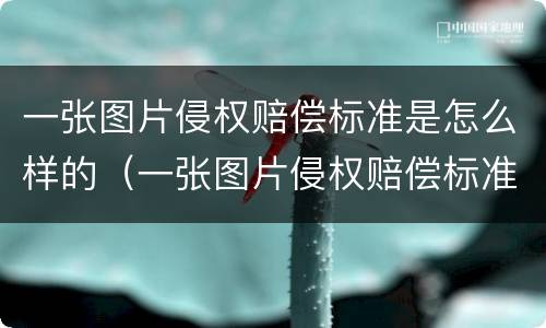 一张图片侵权赔偿标准是怎么样的（一张图片侵权赔偿标准是怎么样的呀）