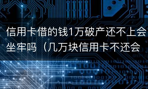 信用卡借的钱1万破产还不上会坐牢吗（几万块信用卡不还会坐牢吗）