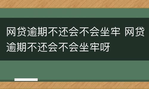 网贷逾期不还会不会坐牢 网贷逾期不还会不会坐牢呀
