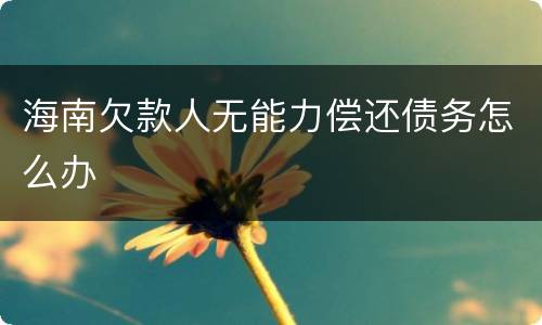 海南欠款人无能力偿还债务怎么办