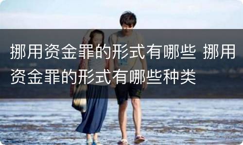 挪用资金罪的形式有哪些 挪用资金罪的形式有哪些种类
