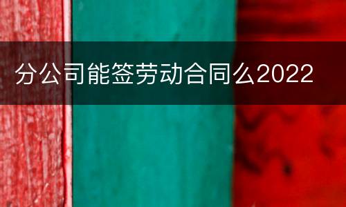 分公司能签劳动合同么2022