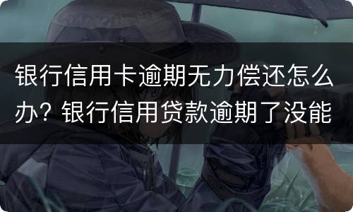 信用卡逾期如何办理停息挂账（信用卡逾期如何办理停息挂账业务）