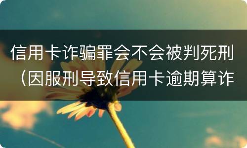 信用卡诈骗罪会不会被判死刑（因服刑导致信用卡逾期算诈骗罪吗）