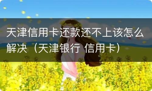 天津信用卡还款还不上该怎么解决（天津银行 信用卡）