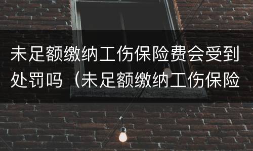 未足额缴纳工伤保险费会受到处罚吗（未足额缴纳工伤保险费,待遇差额谁来赔）