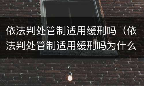 依法判处管制适用缓刑吗（依法判处管制适用缓刑吗为什么）