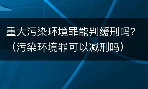 重大污染环境罪能判缓刑吗？（污染环境罪可以减刑吗）
