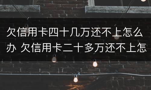 欠信用卡四十几万还不上怎么办 欠信用卡二十多万还不上怎么办