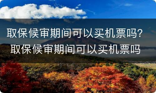 取保候审期间可以买机票吗？ 取保候审期间可以买机票吗