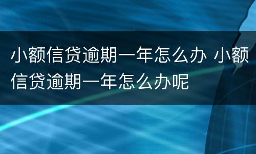 小额信贷逾期一年怎么办 小额信贷逾期一年怎么办呢