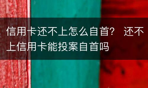 信用卡还不上怎么自首？ 还不上信用卡能投案自首吗
