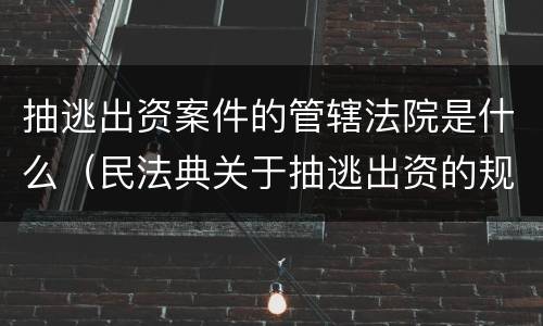 抽逃出资案件的管辖法院是什么（民法典关于抽逃出资的规定）