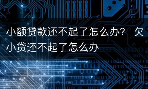 小额贷款还不起了怎么办？ 欠小贷还不起了怎么办