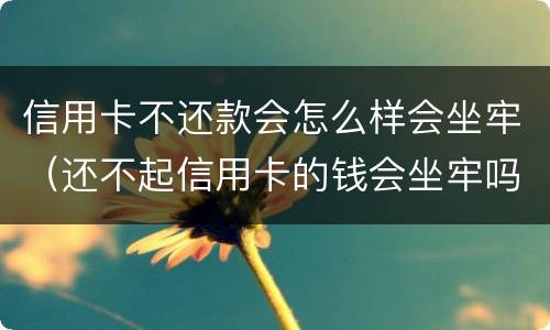信用卡不还款会怎么样会坐牢（还不起信用卡的钱会坐牢吗）