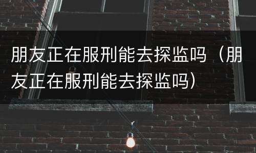 朋友正在服刑能去探监吗（朋友正在服刑能去探监吗）