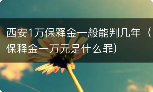 西安1万保释金一般能判几年（保释金一万元是什么罪）
