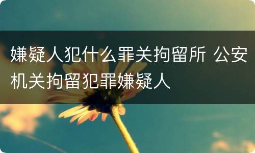 嫌疑人犯什么罪关拘留所 公安机关拘留犯罪嫌疑人