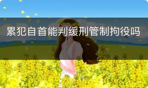 累犯自首能判缓刑管制拘役吗