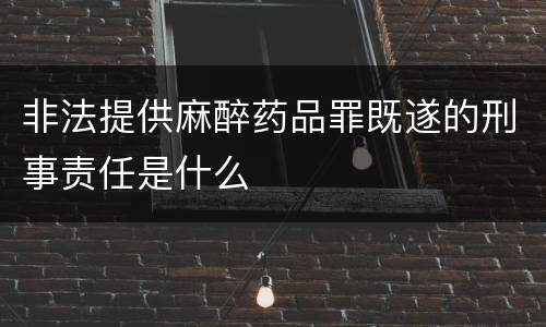 非法提供麻醉药品罪既遂的刑事责任是什么