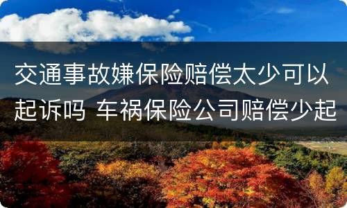 交通事故嫌保险赔偿太少可以起诉吗 车祸保险公司赔偿少起诉后果