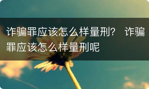 诈骗罪应该怎么样量刑？ 诈骗罪应该怎么样量刑呢
