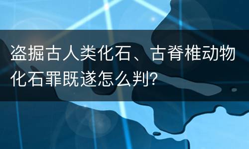 盗掘古人类化石、古脊椎动物化石罪既遂怎么判？