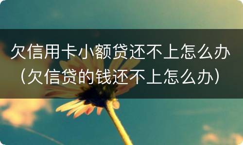 欠信用卡小额贷还不上怎么办（欠信贷的钱还不上怎么办）