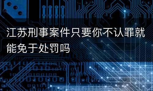 江苏刑事案件只要你不认罪就能免于处罚吗