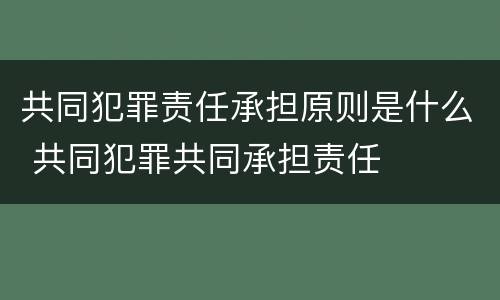 共同犯罪责任承担原则是什么 共同犯罪共同承担责任