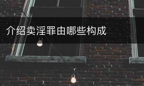 介绍卖淫罪由哪些构成