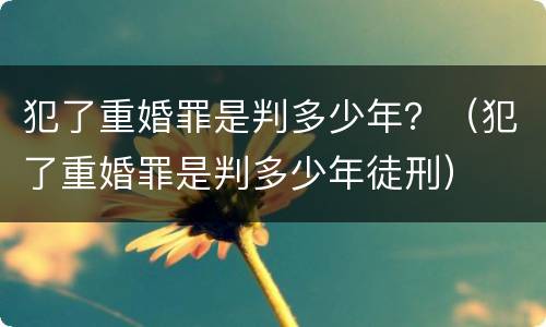 犯了重婚罪是判多少年？（犯了重婚罪是判多少年徒刑）