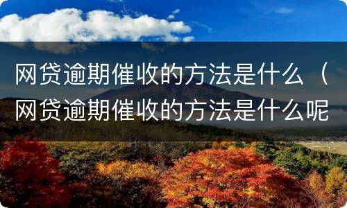 网贷逾期催收的方法是什么（网贷逾期催收的方法是什么呢）