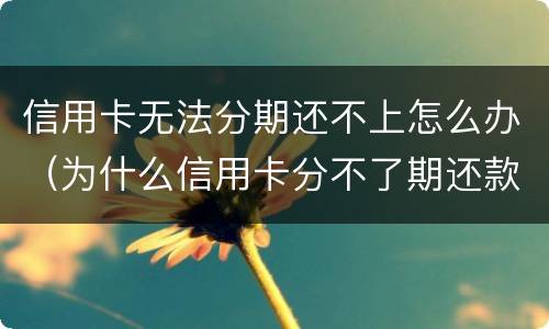 信用卡无法分期还不上怎么办（为什么信用卡分不了期还款）