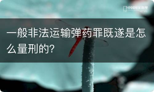 一般非法运输弹药罪既遂是怎么量刑的？