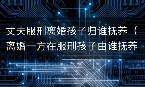 丈夫服刑离婚孩子归谁抚养（离婚一方在服刑孩子由谁抚养）