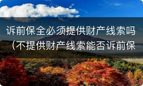 诉前保全必须提供财产线索吗（不提供财产线索能否诉前保全）