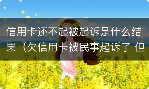 信用卡还不起被起诉是什么结果（欠信用卡被民事起诉了 但依旧还不起）