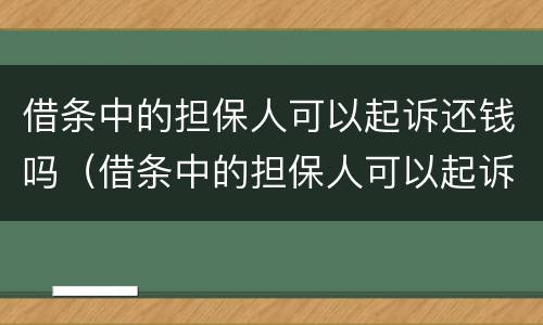 借条中的担保人可以起诉还钱吗（借条中的担保人可以起诉还钱吗法律规定）