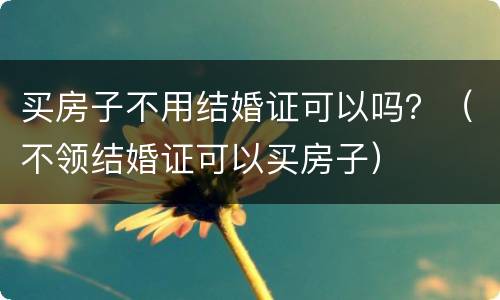 买房子不用结婚证可以吗？（不领结婚证可以买房子）